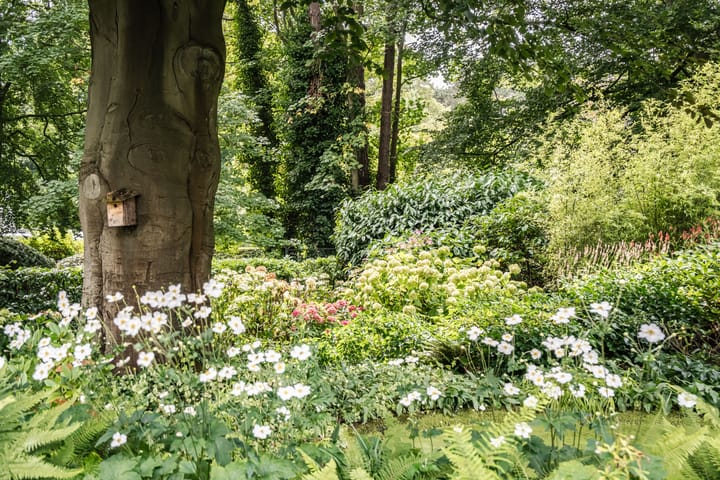 Photo 48 of Jozef Israëlsweg 14