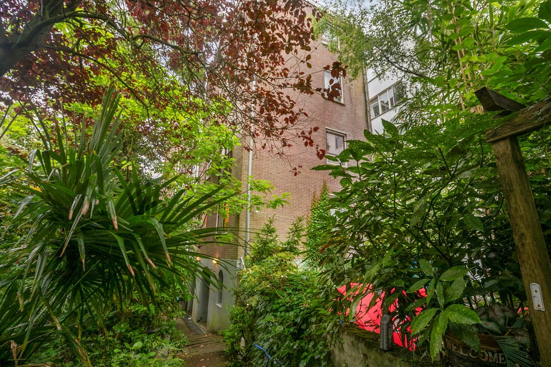 Foto 1 van Nieuwe-Hoofdhof 44