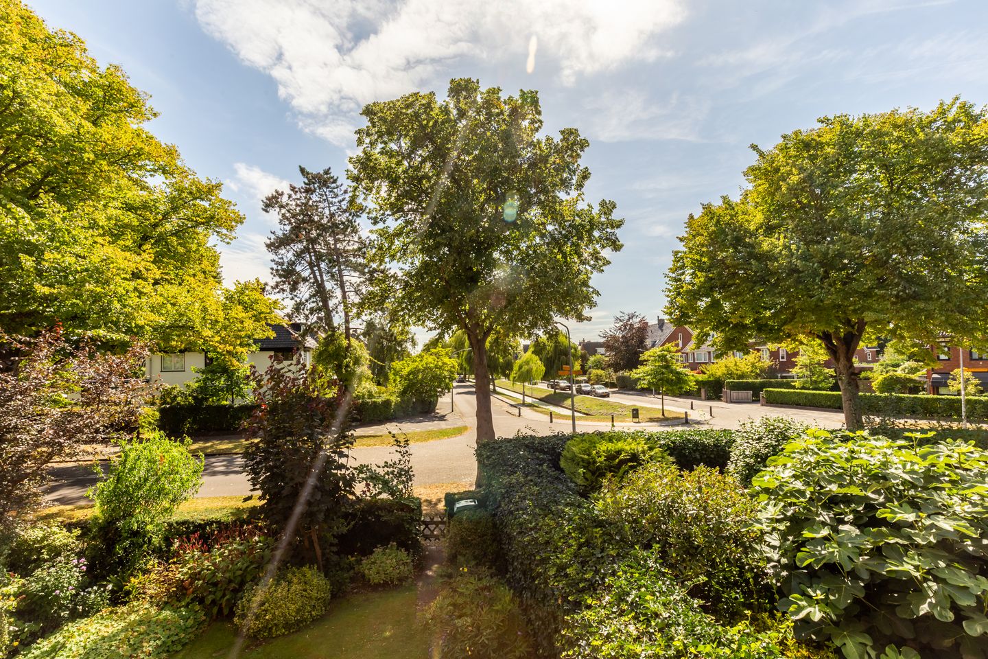 Foto 5 van Jaap Buijshof 26