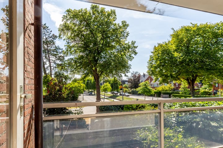 Photo 16 of Jaap Buijshof 26