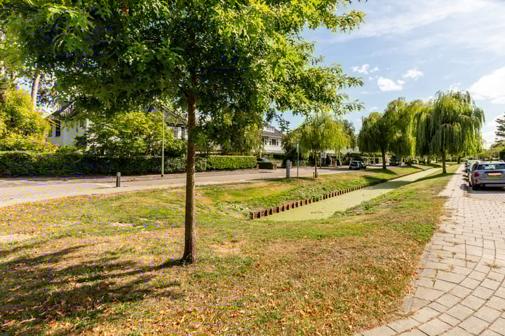 Photo 20 of Jaap Buijshof 26