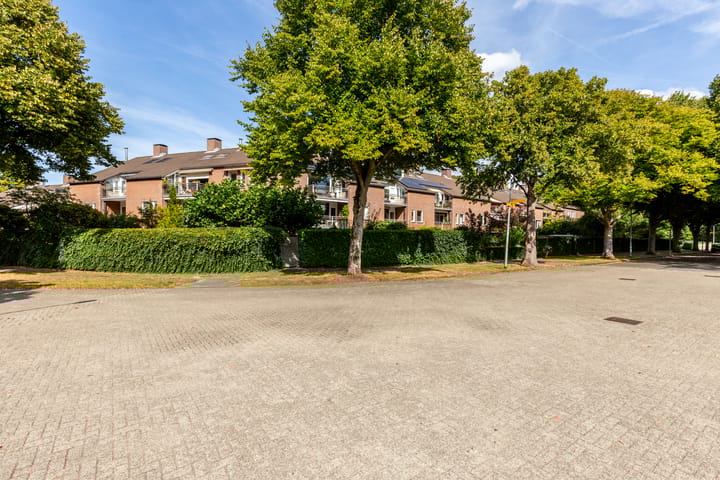 Photo 21 of Jaap Buijshof 26