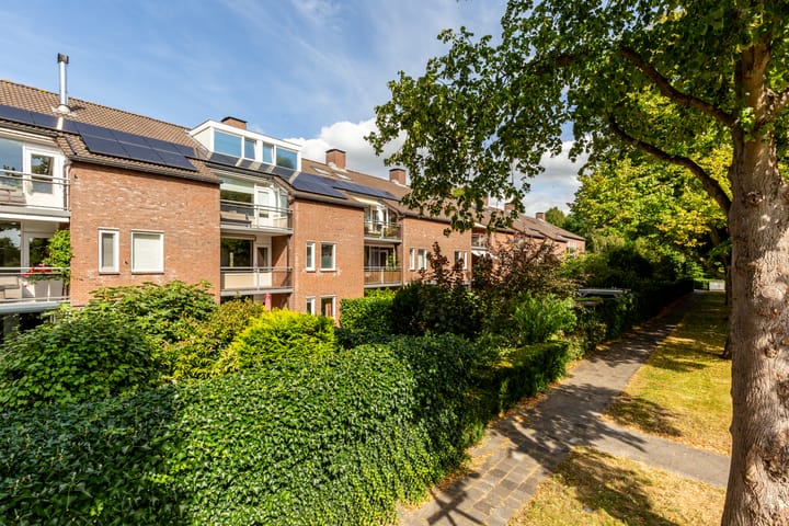 Photo 22 of Jaap Buijshof 26