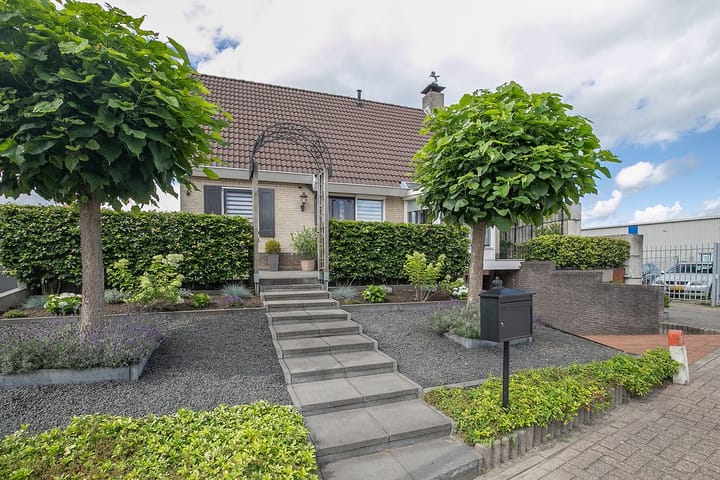 Foto 6 van Noordermorssingel 3