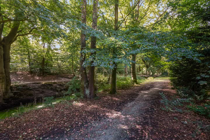 Foto 34 van Ruychrocklaan 410