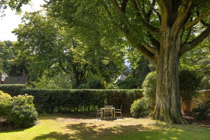 Photo 34 of Laan van Vogelenzang 16