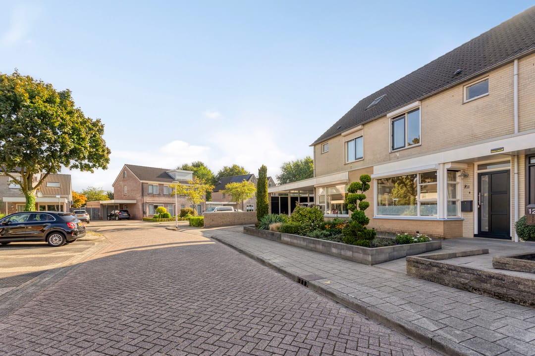 Foto 7 van Korenbloem 14