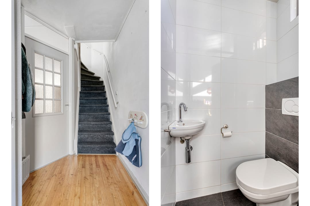 Foto 8 van Korenbloem 14