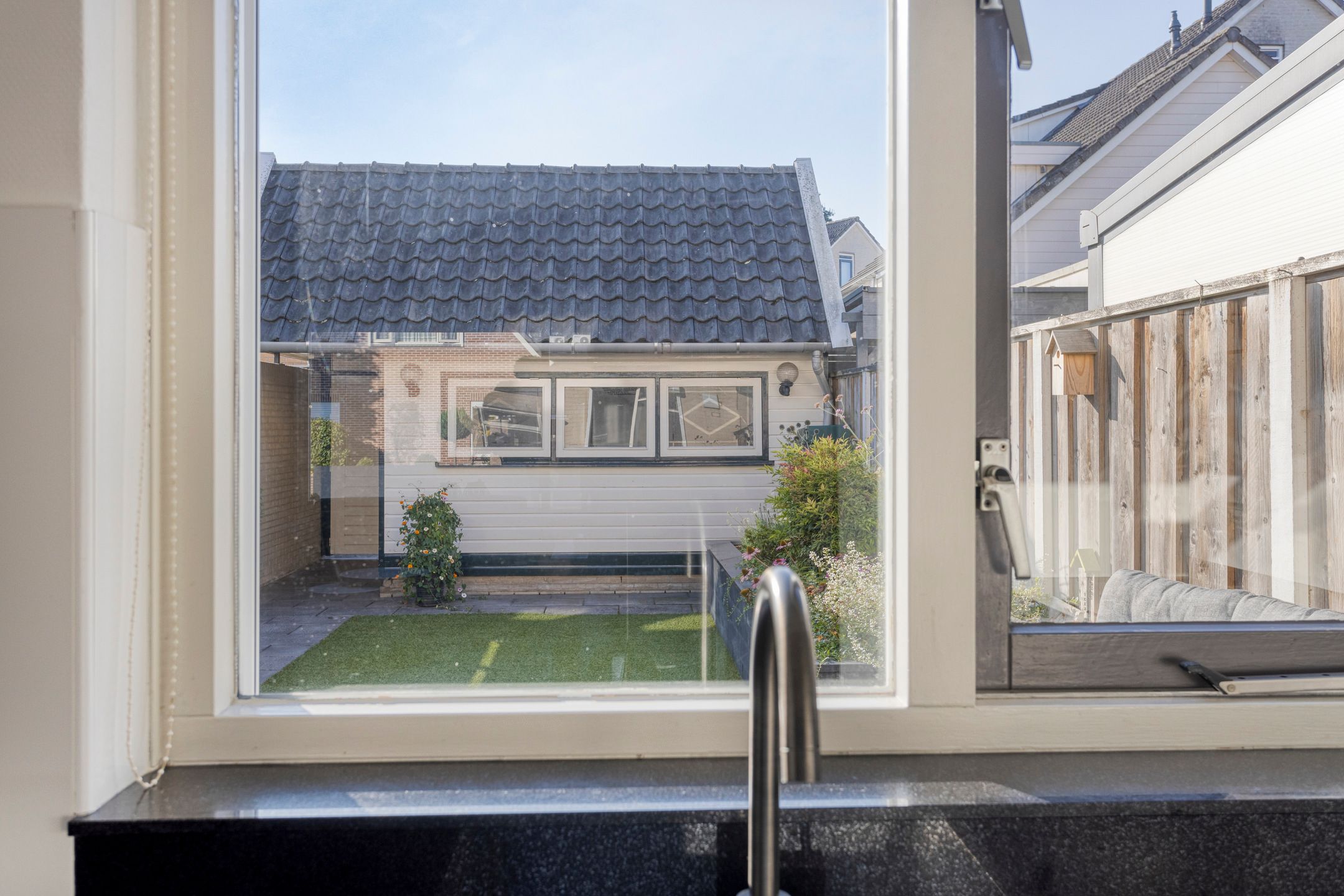 Foto 15 van Korenbloem 14