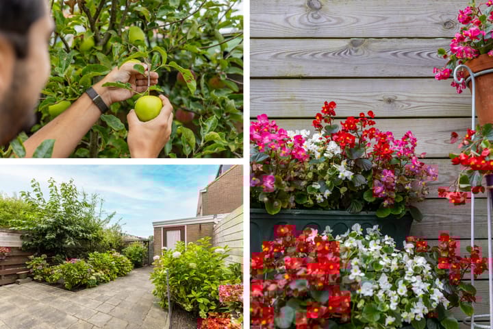 Photo 37 of Zonnelaan 37