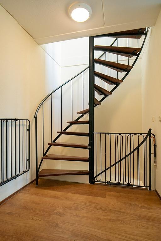 Foto 24 van Port Zélande 289