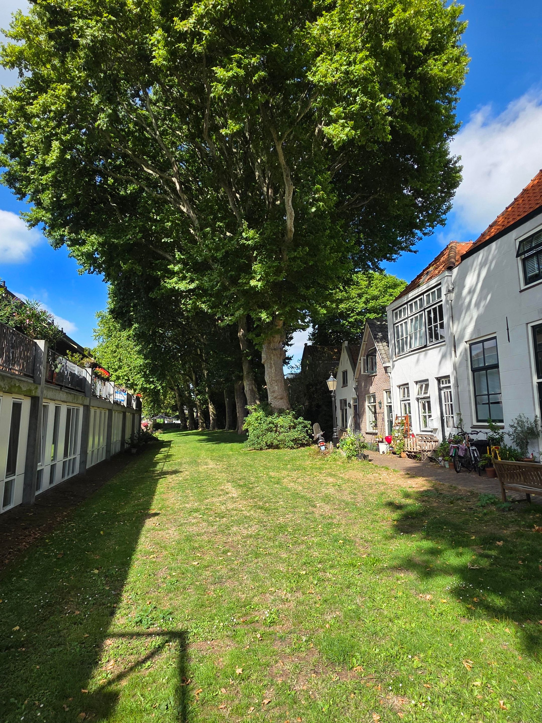 Foto 48 van Korte Dijk 29