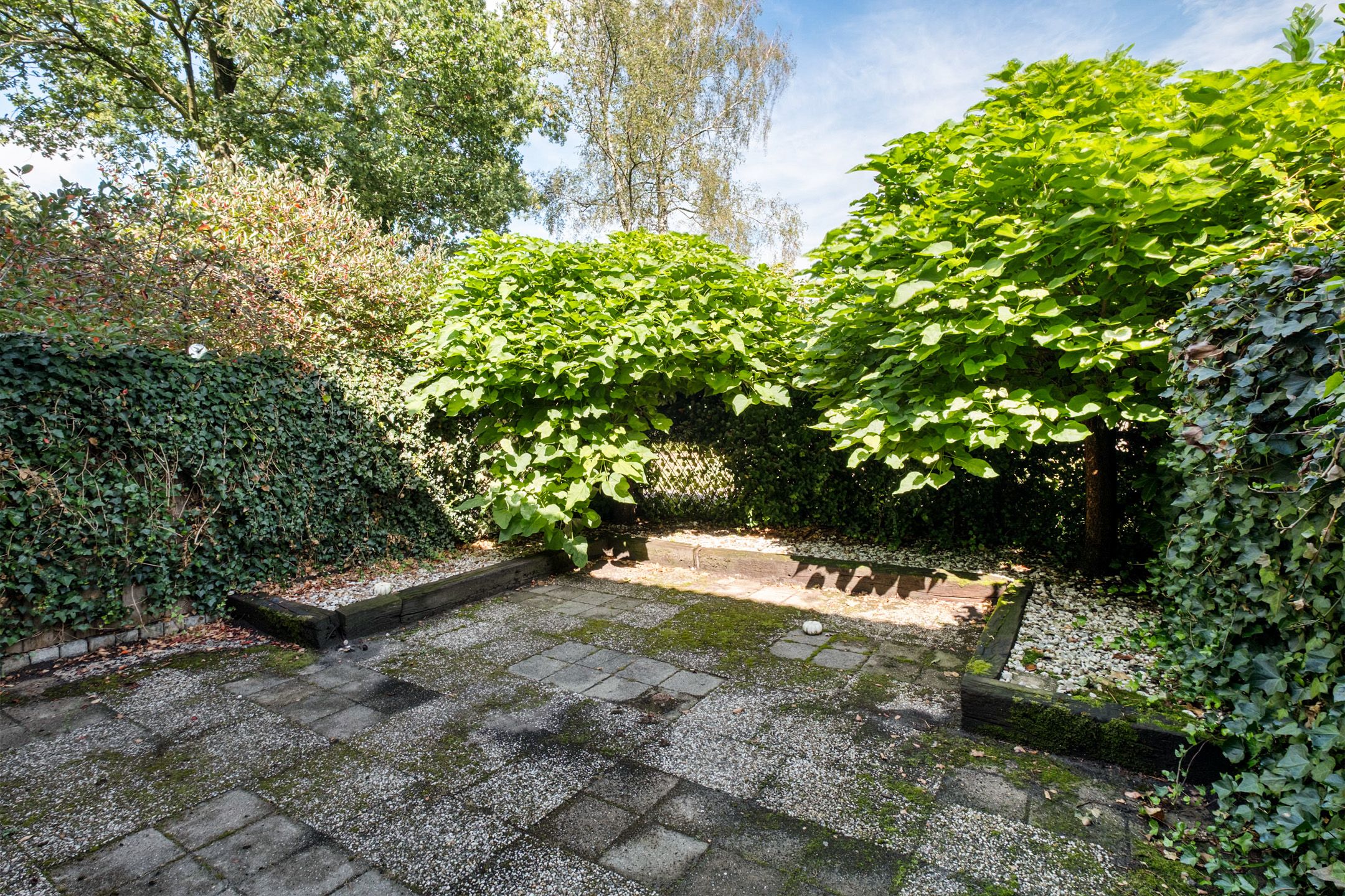 Foto 36 van Koenderinklanden 28