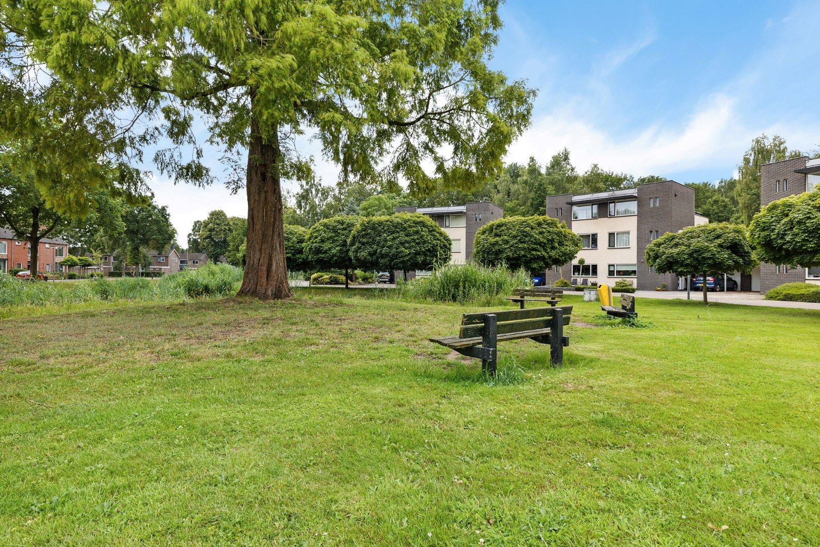 Foto 3 van Iepenlaan 9