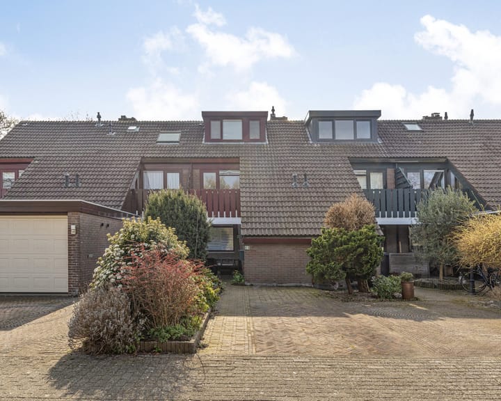 Foto 1 van Lepelblad 64