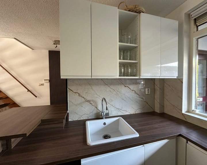 Foto 5 van Lepelblad 64