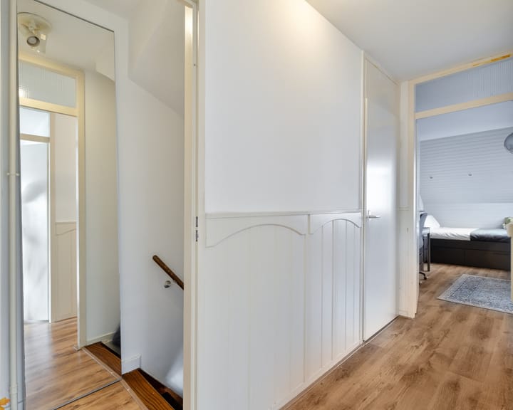 Foto 9 van Lepelblad 64