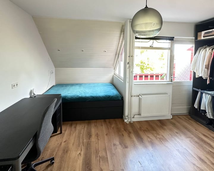 Foto 17 van Lepelblad 64