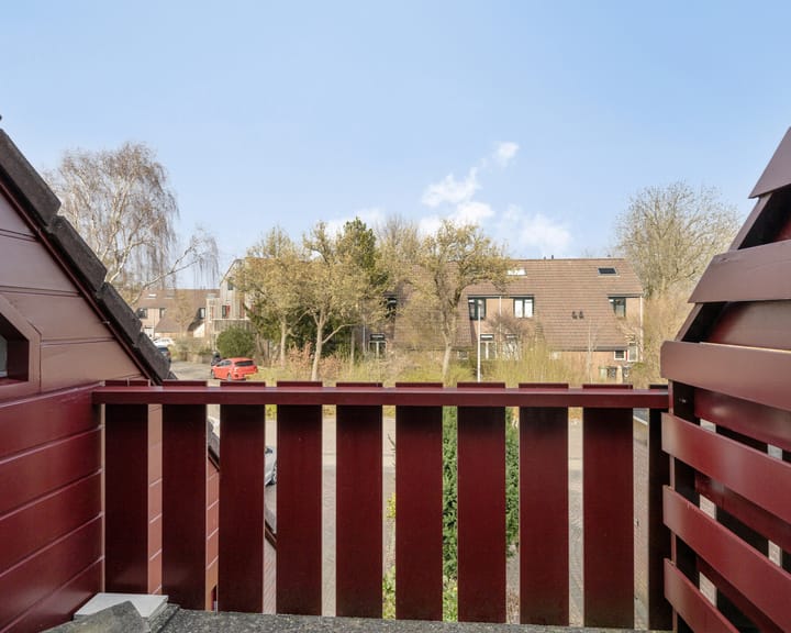 Foto 18 van Lepelblad 64