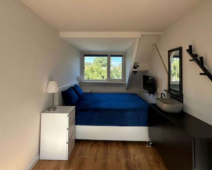 Foto 21 van Lepelblad 64