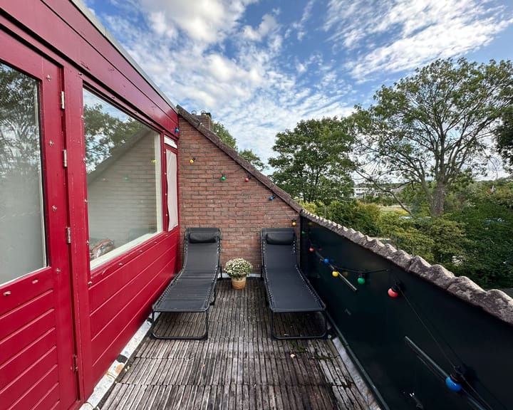 Foto 22 van Lepelblad 64