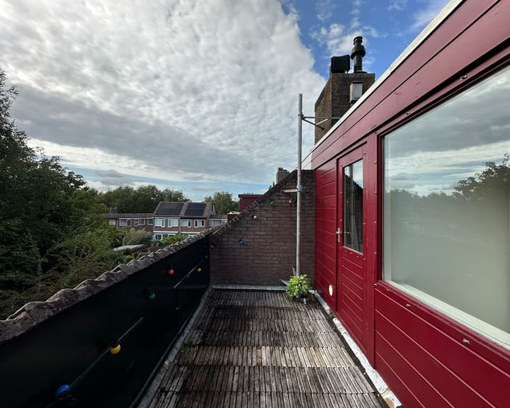 Foto 23 van Lepelblad 64