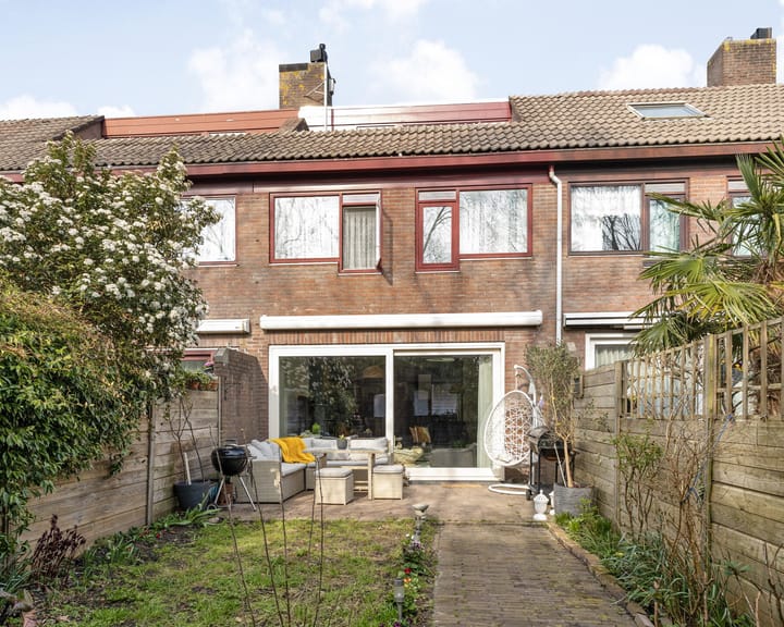 Foto 25 van Lepelblad 64