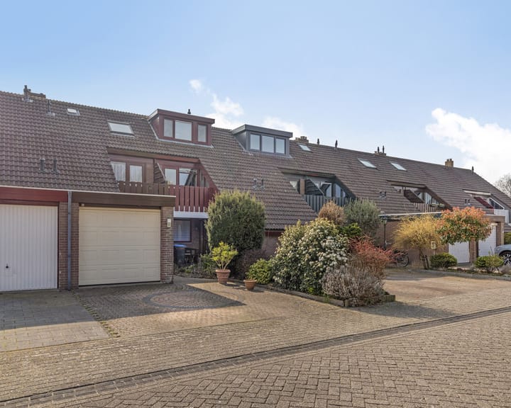 Foto 27 van Lepelblad 64