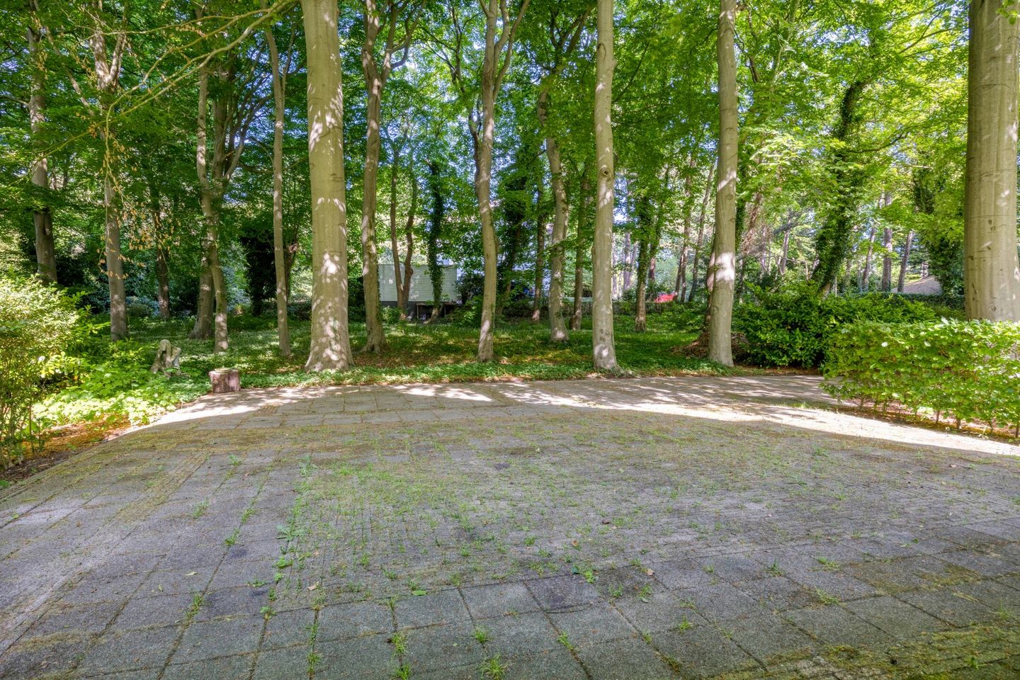 Foto 4 van Meijboomlaan 2