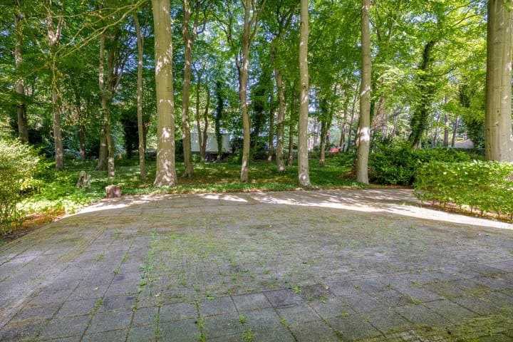 Photo 4 of Meijboomlaan 2