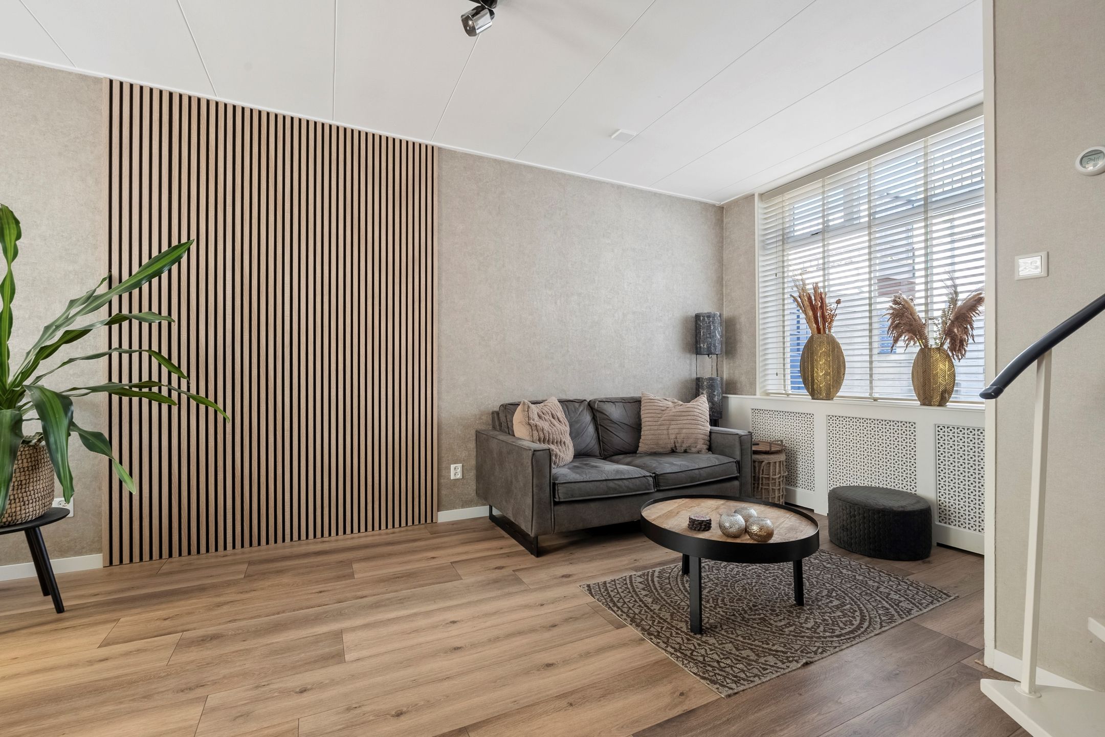 Foto 9 van Bothastraat 43