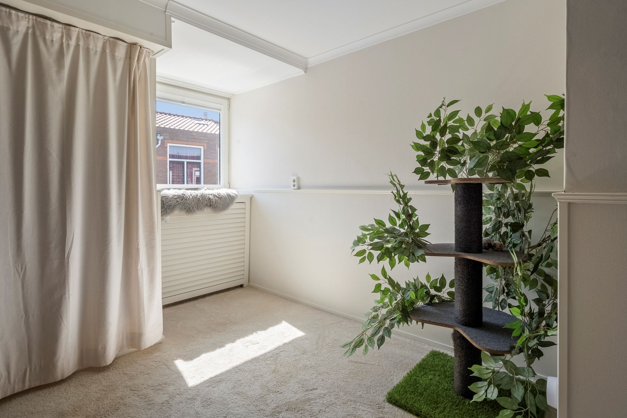 Foto 30 van Bothastraat 43