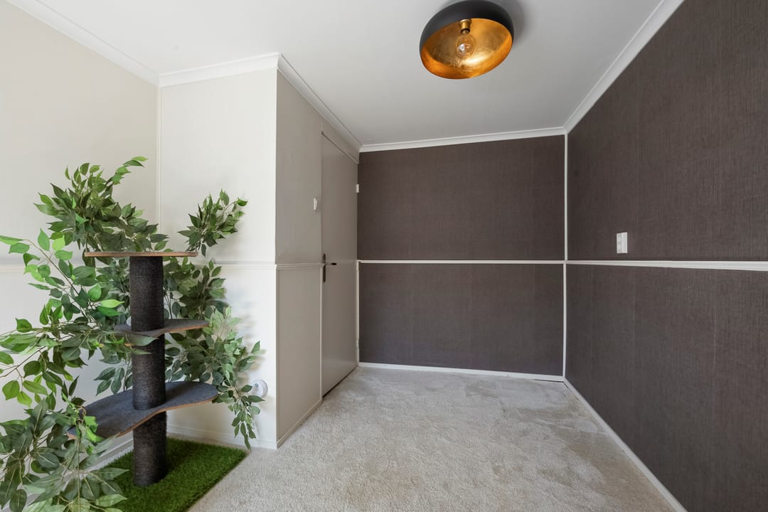 Foto 31 van Bothastraat 43