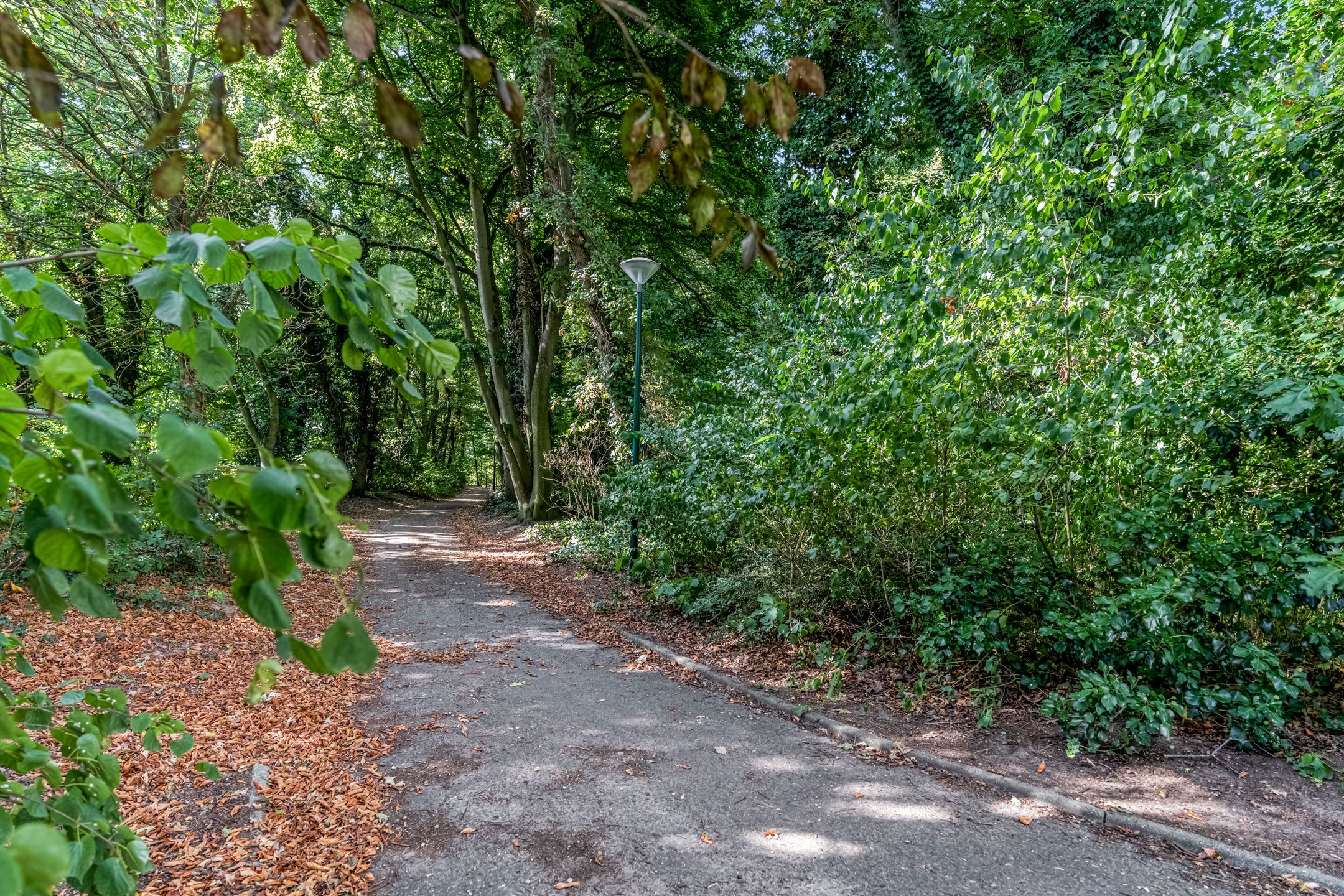 Photo 36 of Koerheuvelweg 3-C