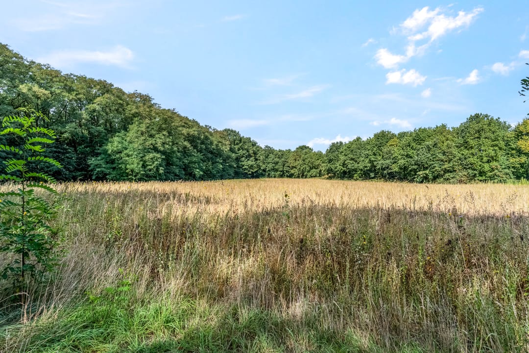 Photo 37 of Koerheuvelweg 3-C