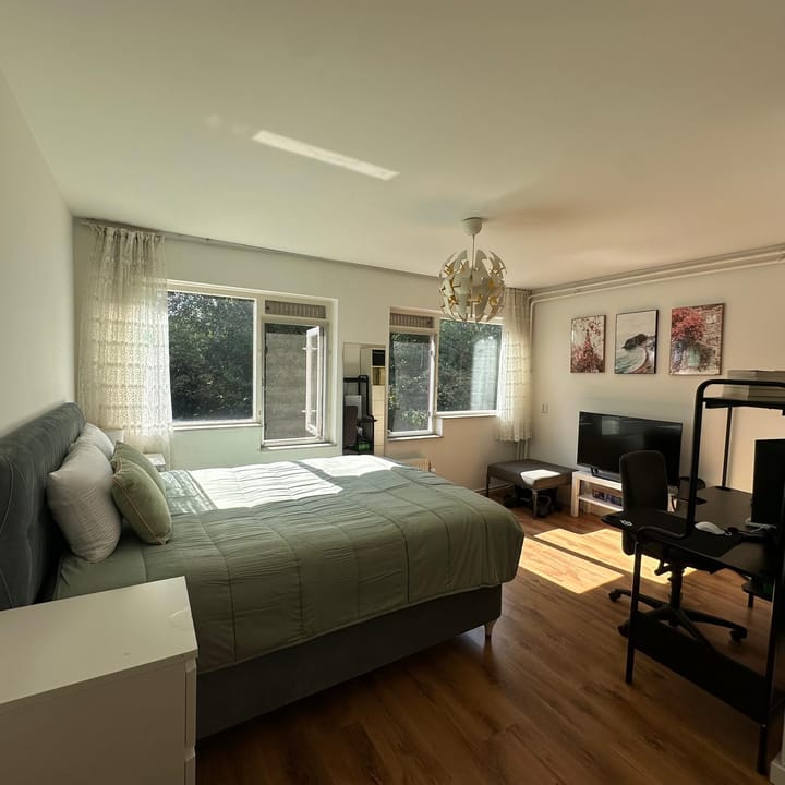 Foto 13 van Lepelblad 64