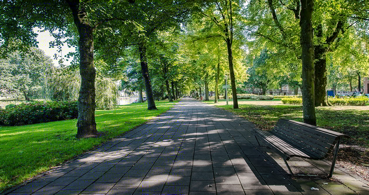 Foto 21 van Marcantilaan 128