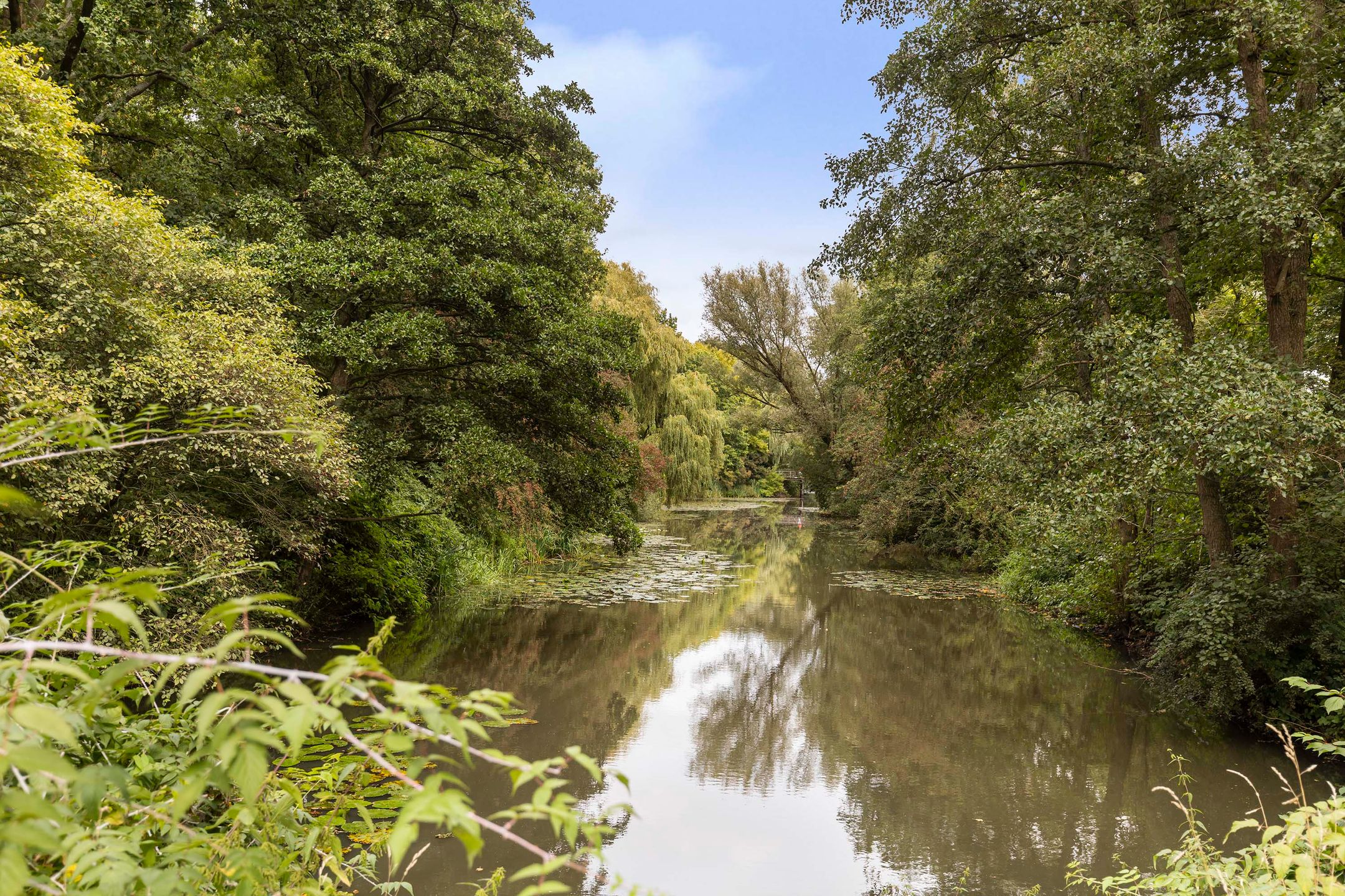 Photo 30 of Kalmoesstraat 83