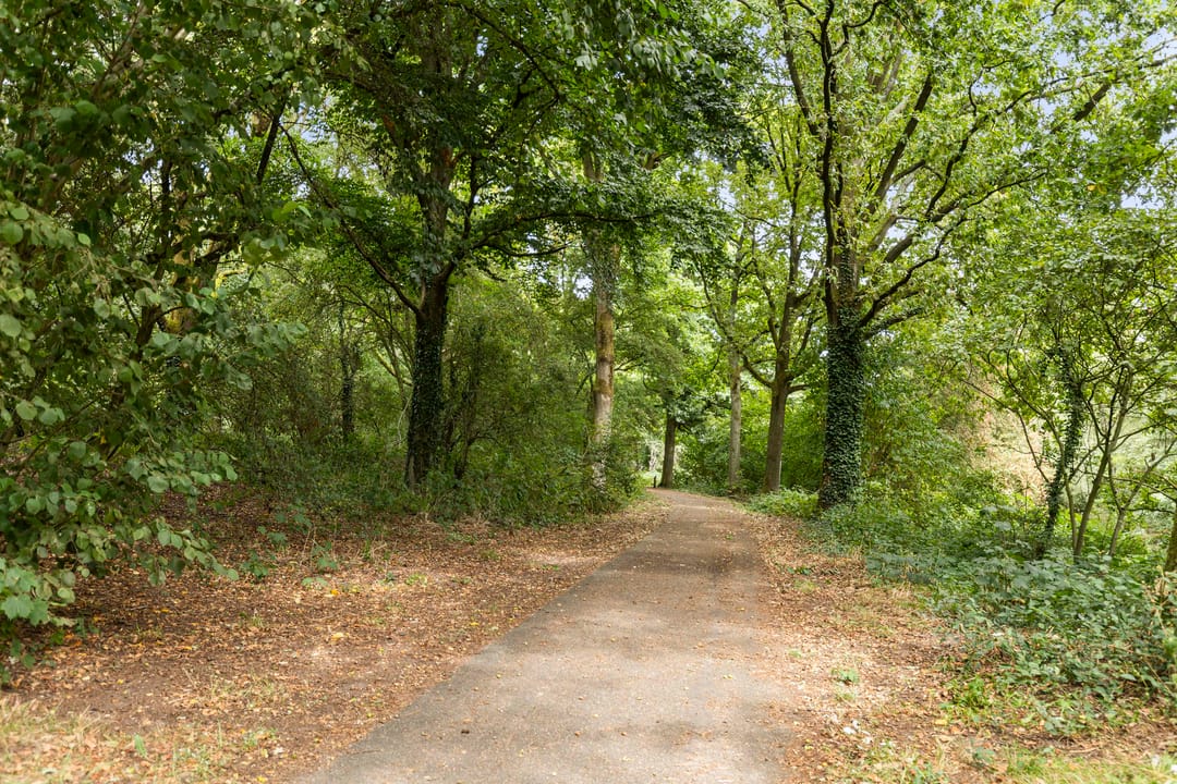 Photo 28 of Kalmoesstraat 83