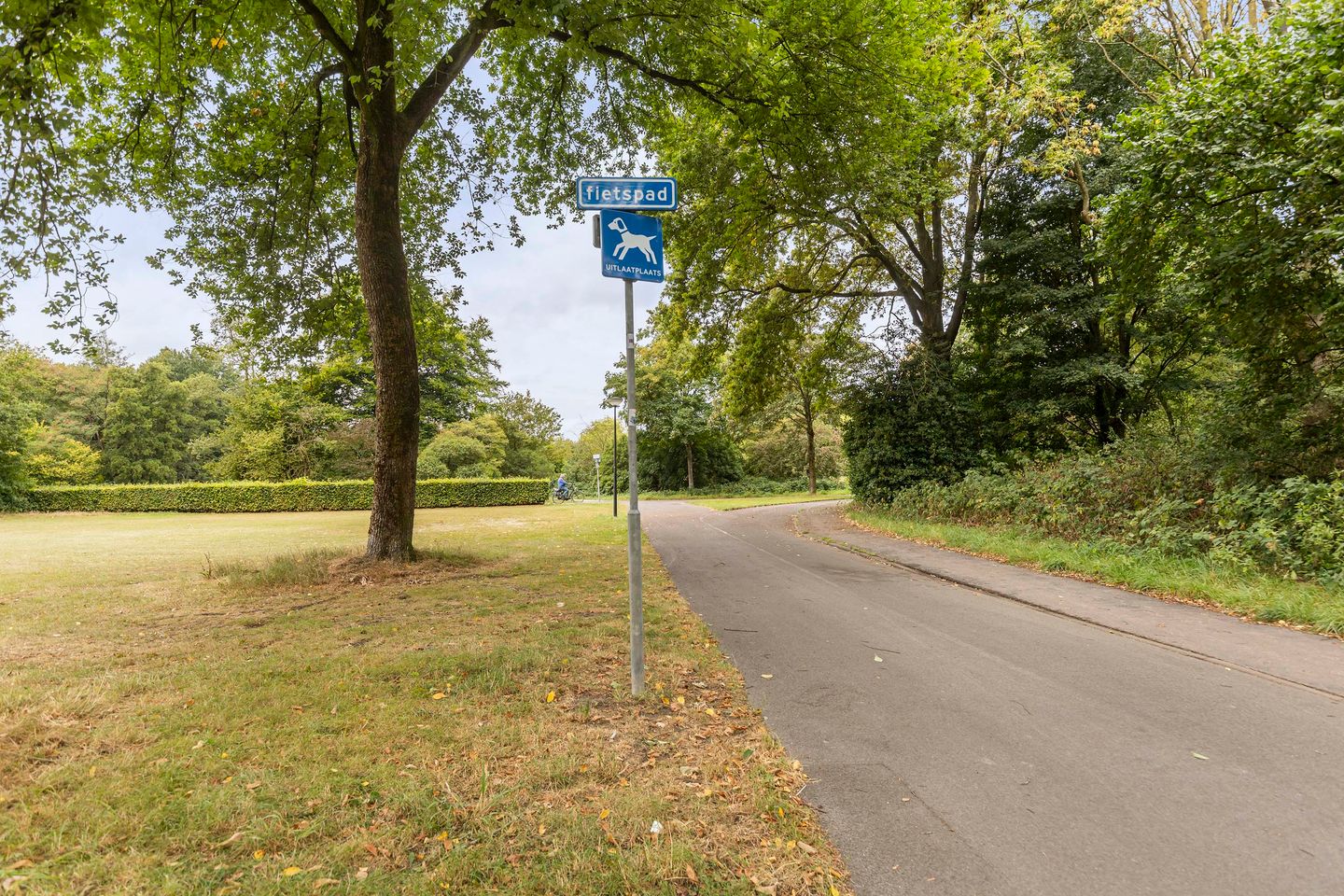 Photo 29 of Kalmoesstraat 83