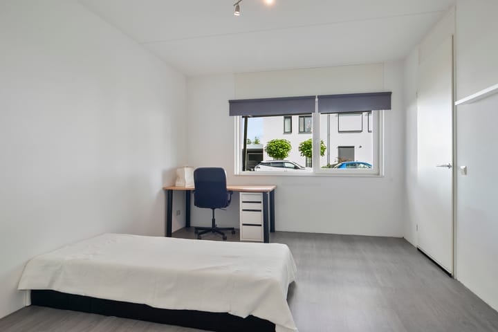 Foto 17 van De Veilingmeester 13