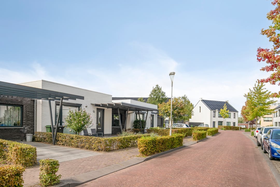 Foto 28 van De Veilingmeester 13