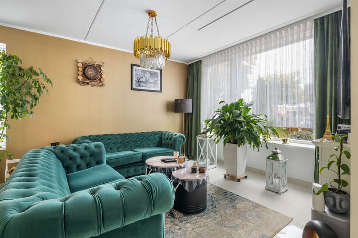 Foto 4 van Griend 25 9