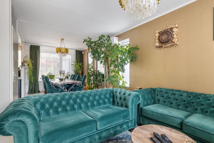 Foto 5 van Griend 25 9