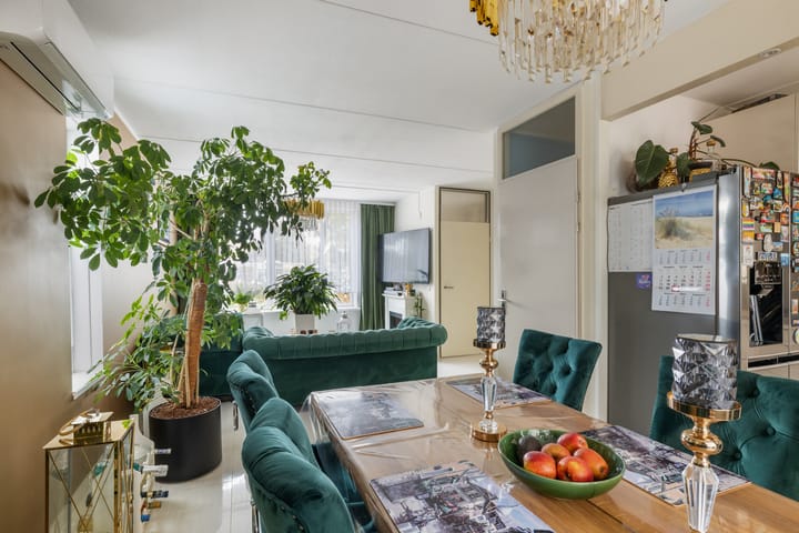 Foto 9 van Griend 25 9