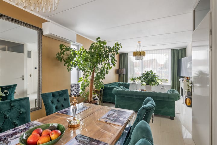 Foto 10 van Griend 25 9