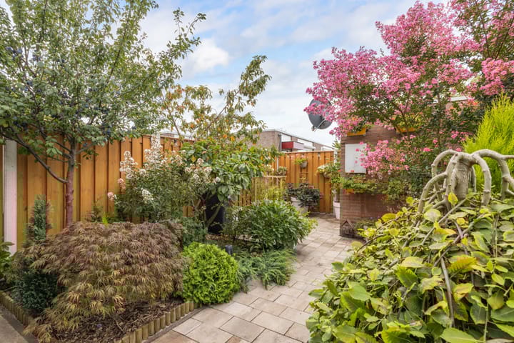 Foto 31 van Griend 25 9