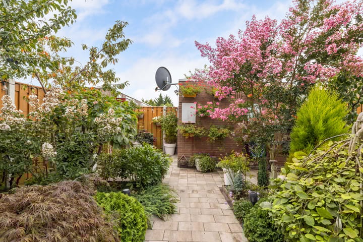 Foto 32 van Griend 25 9