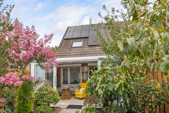 Foto 35 van Griend 25 9