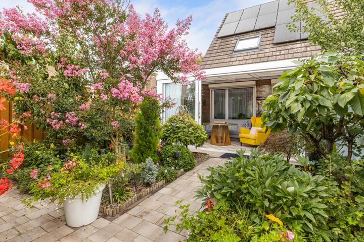 Foto 36 van Griend 25 9